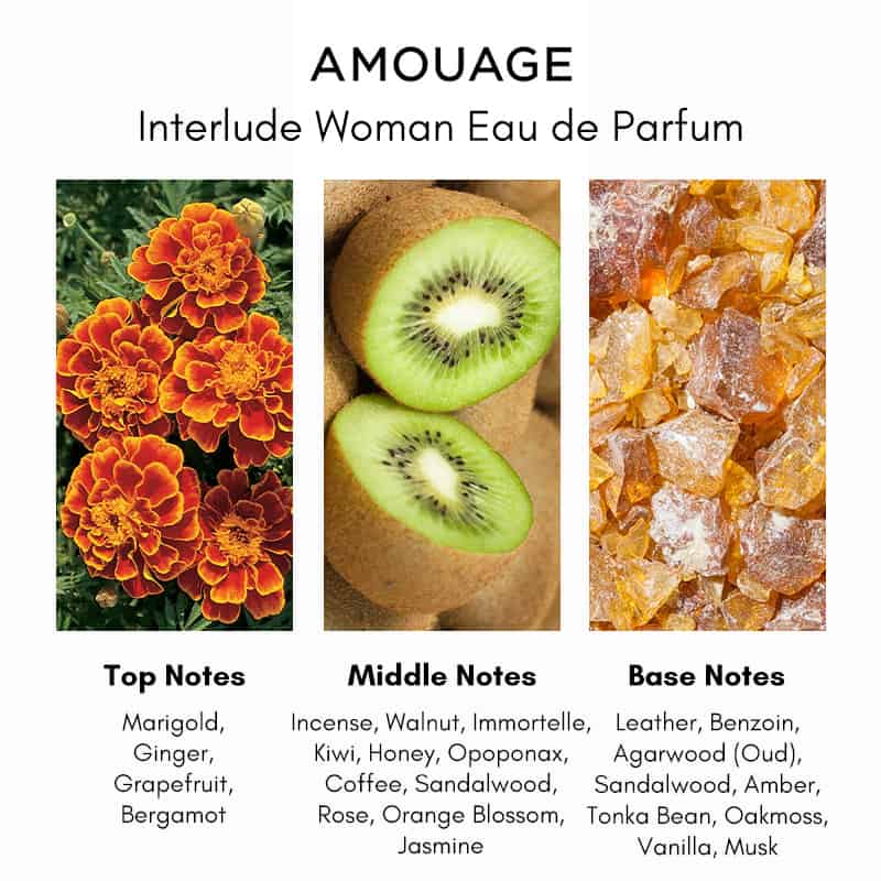 Amouage Interlude Woman 2ml 0.06 oz 官方香水样品香水测试仪 Amouage Interlude Woman 2ml 0.06 oz 官方香水样品香水测试仪
