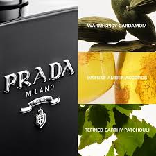 Prada L'Homme Intense 香水样品稀有香水 Prada L'Homme Intense 香水样品稀有香水